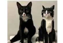 Игра слов #59