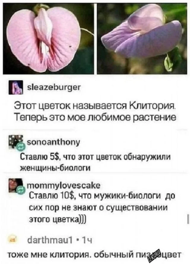 Так себе юмор #12