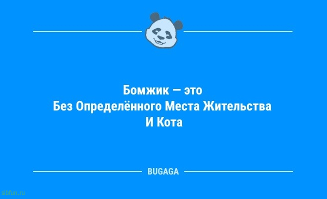 Свежая порция анекдотов: «Вчера помыла окно…» 