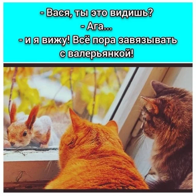 Так себе юмор #13