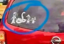 Свежие и актуальные прикольные картинки