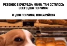 Весело и ржачно