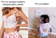 Сохраненки