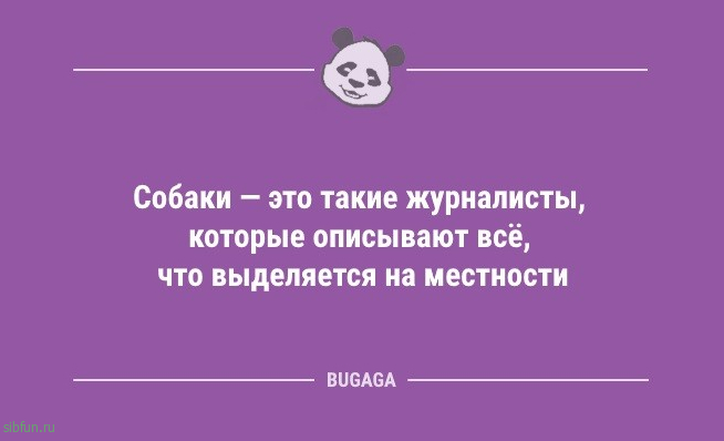 Анекдоты дня: «У меня самый романтичный мужчина…» 