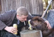 Смешные скрины из соцсетей #8