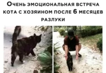 Нестандартный юмор #304