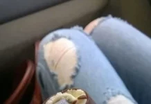 Пхаха! Прикольные картинки