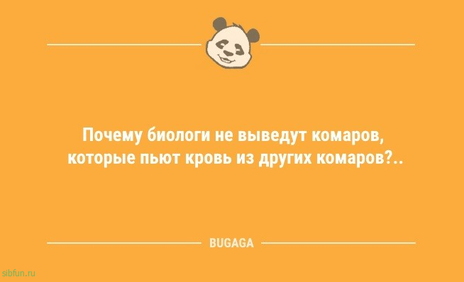 Свежие анекдоты и прикольные статусы: «В комнату забегает маленькая дочка…» 