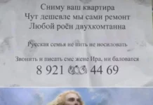 Картинок чуток