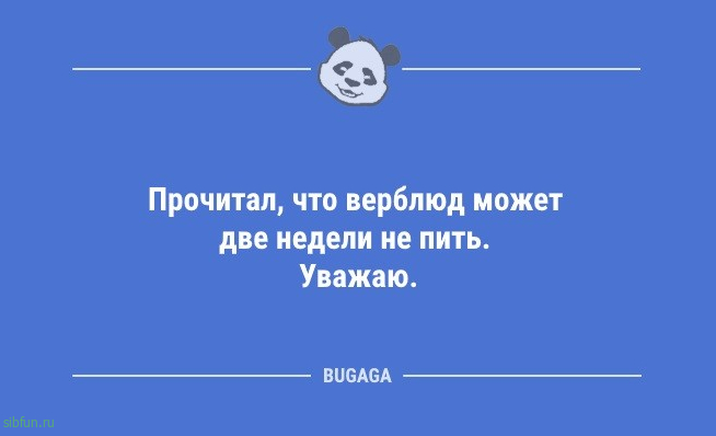 Анекдоты дня: «Большое уважение дыне…» 