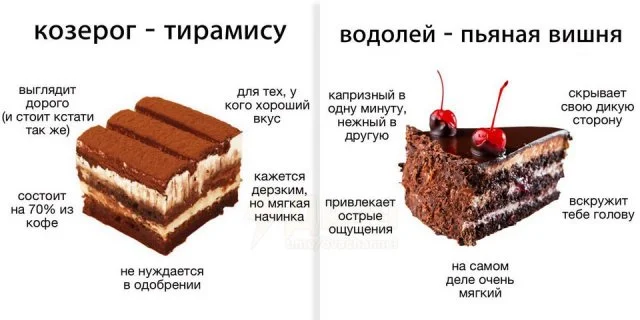 Какой торт соответствует вашему знаку зодиака? Астрологи дали ответ