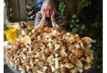 Так себе юмор #14