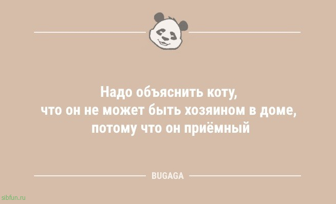 Анекдоты в понедельник: «Сталевар Кузякин не понимал…» 