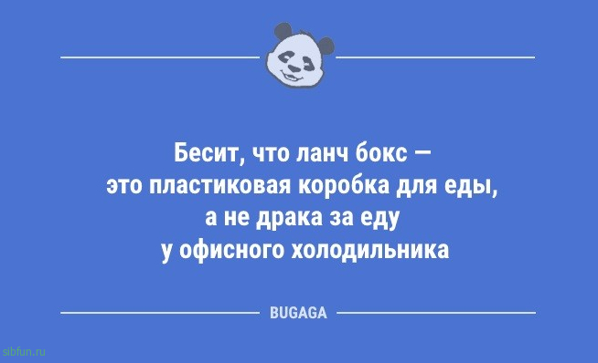 Анекдоты дня: «Большое уважение дыне…» 