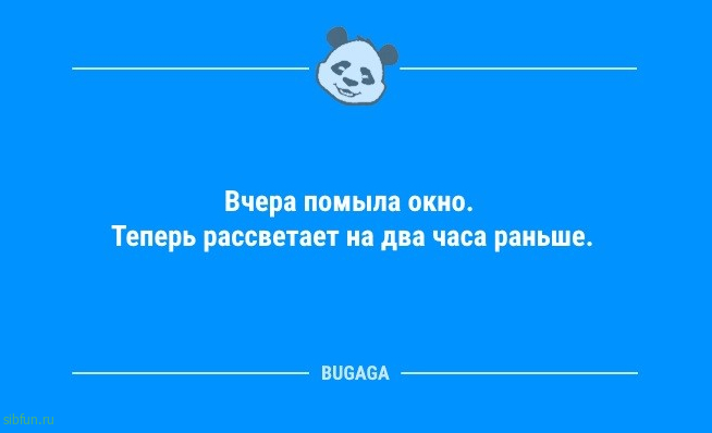 Свежая порция анекдотов: «Вчера помыла окно…» 