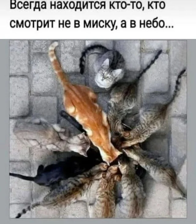 Прекольно же!