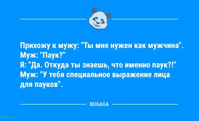 Свежая порция анекдотов: «Вчера помыла окно…» 
