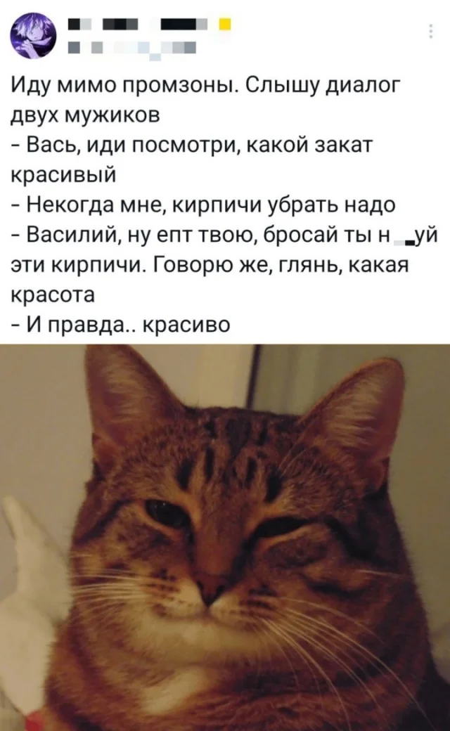 Так себе юмор #15