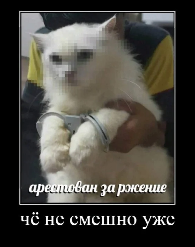 Отличные демотиваторы