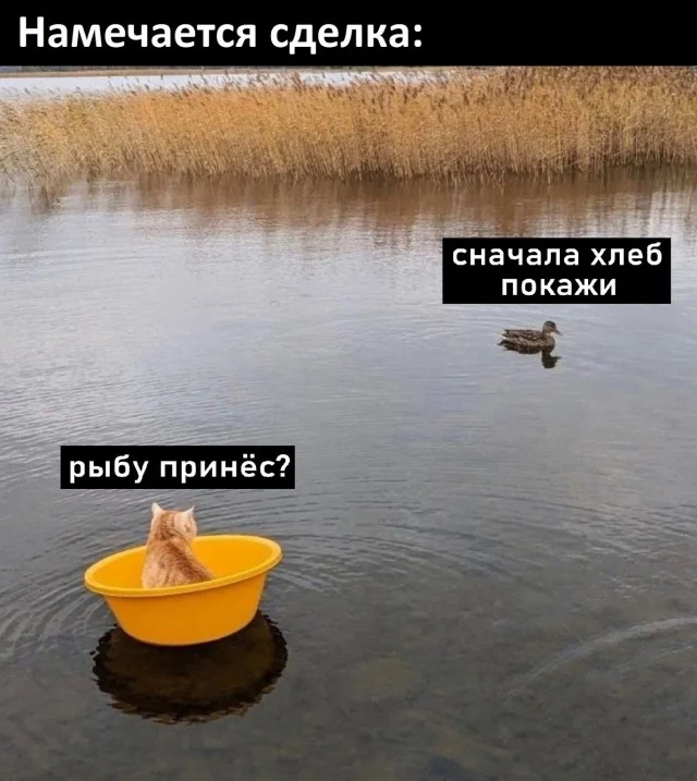 Так себе юмор #24