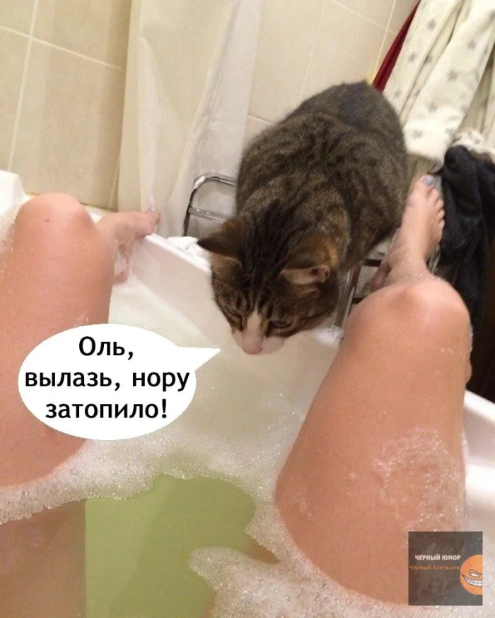 Нестандартный юмор #316