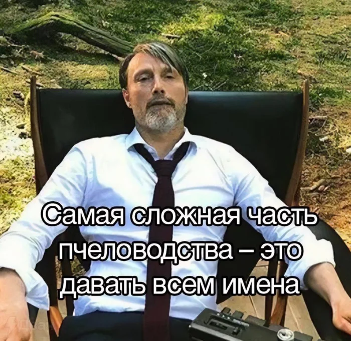 Нестандартный юмор #329