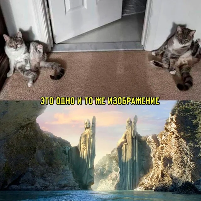 Весёлые картинки