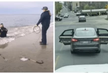 Когда разум сдаётся: 20 нелепых и странных фото