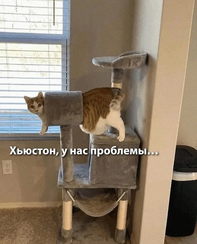 Клёвые картинки
