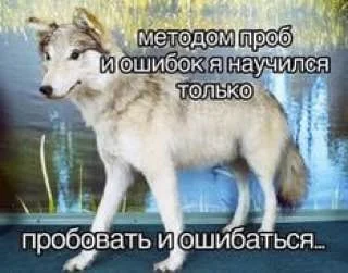 Нестандартный юмор #329
