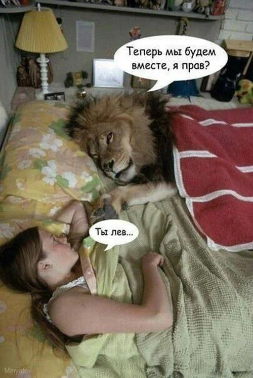 Нестандартный юмор #316