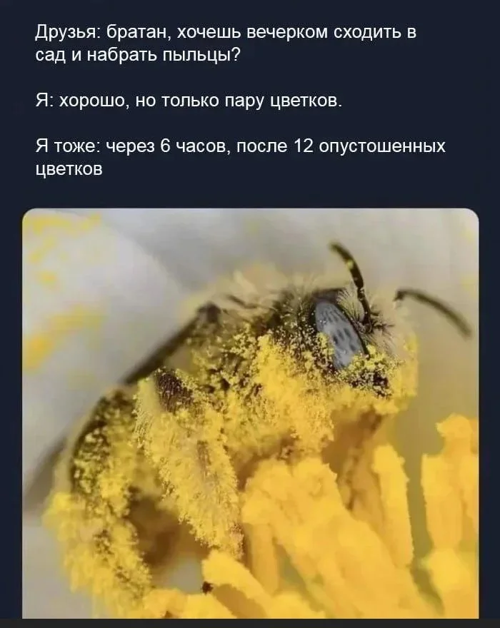 Картинок пост
