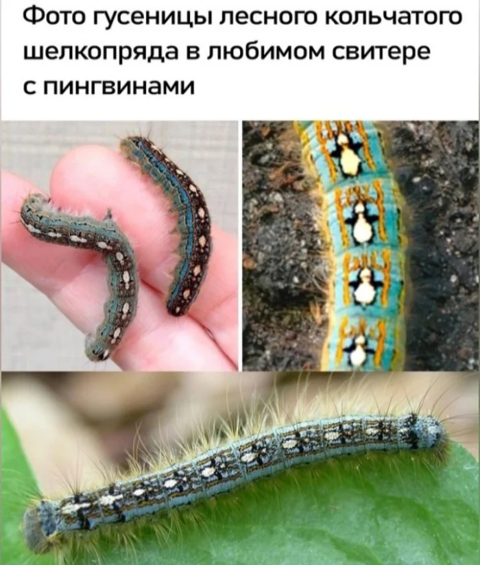 Картинок пост