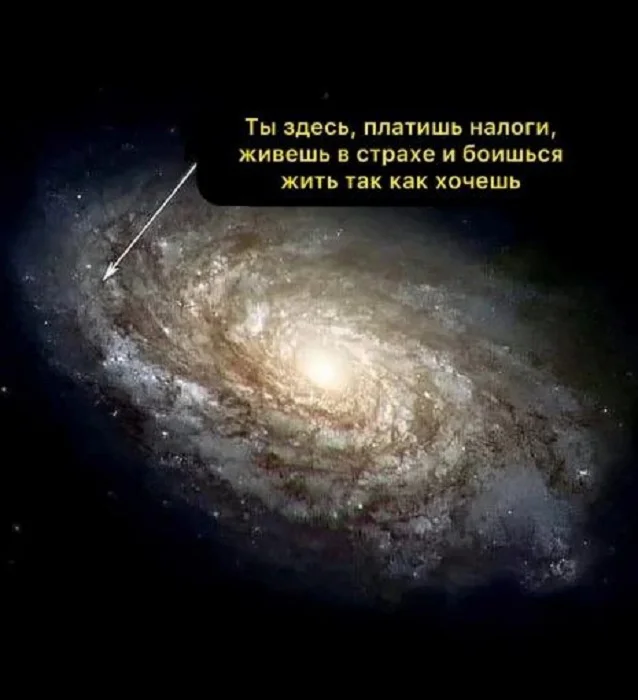 Разные прикольчики