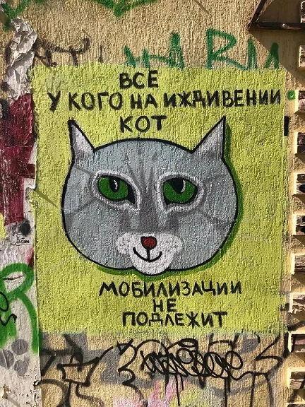 Чутка картинок