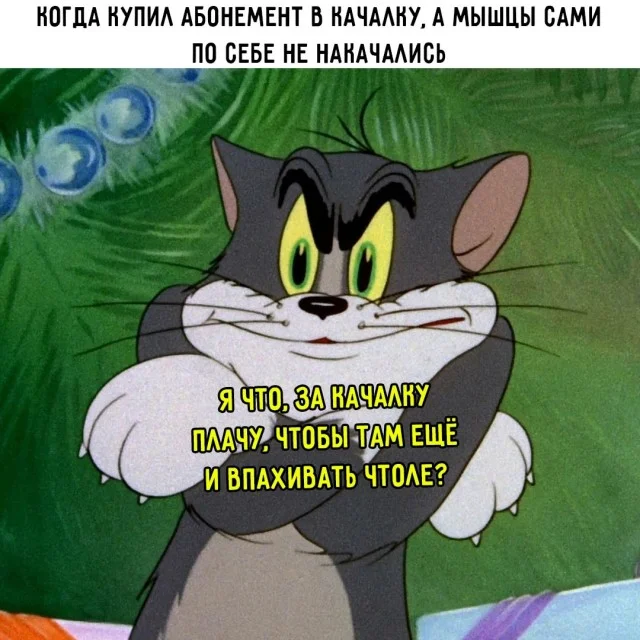 Ого, свежие приколы!