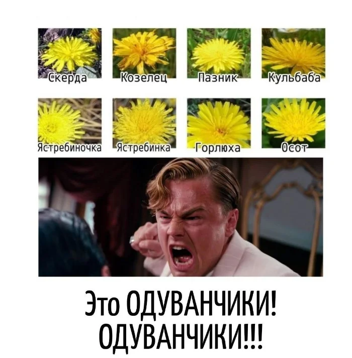 Игра слов #68