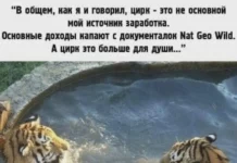 Картинок пост