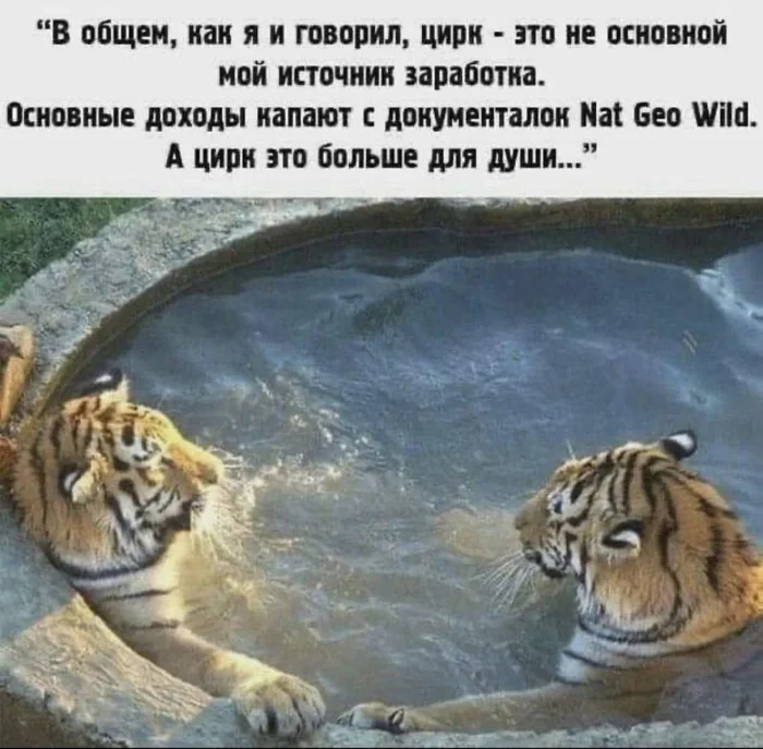 Картинок пост