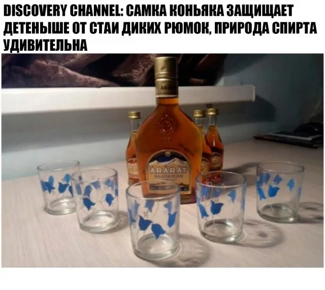 Так себе юмор #24
