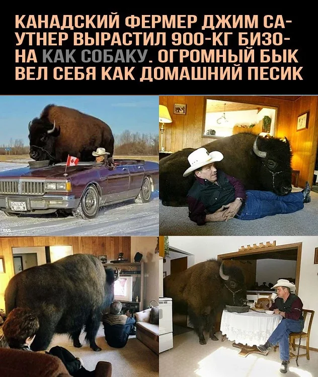 Всякие разные картинки