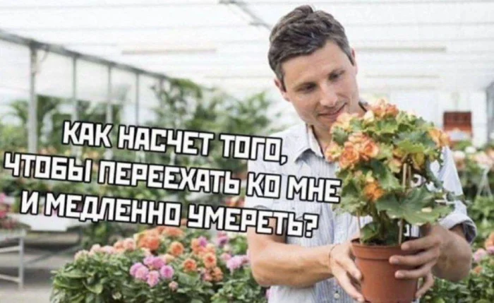 Нестандартный юмор #341