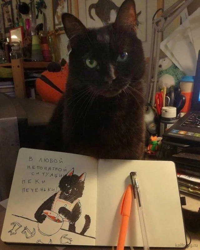 Клёвые картинки