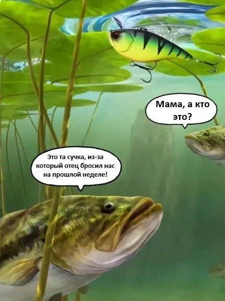 Смешные скрины из соцсетей #25