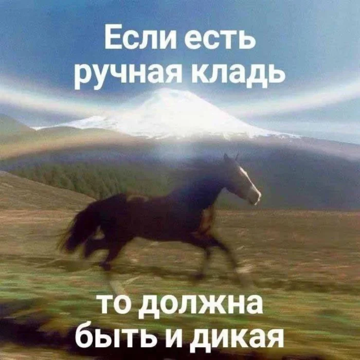 Нестандартный юмор #336