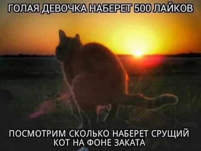 Приколы, чтобы улыбнуться