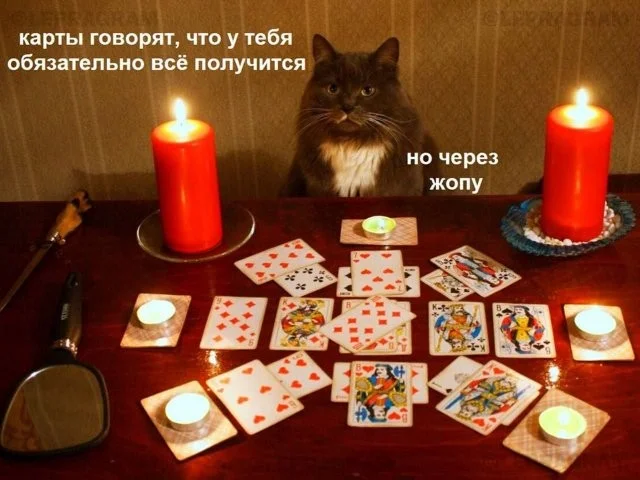 Смешные скрины из соцсетей #25