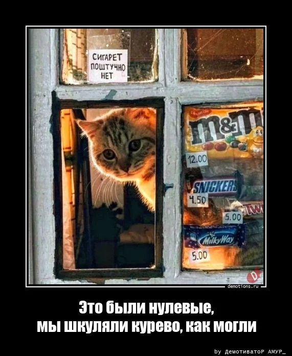 Демотиваторы для всех