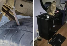 Кому-то сегодня особенно не повезло: 25 забавных неудач