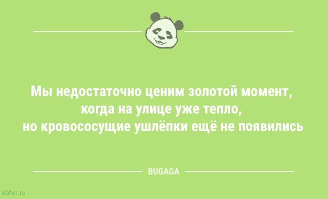 Анекдоты для пятничного настроения: «Я не знаю, как вы там переводите время…» 